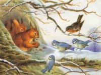 /album/fotogaleria-blog/images-18-jpg1/